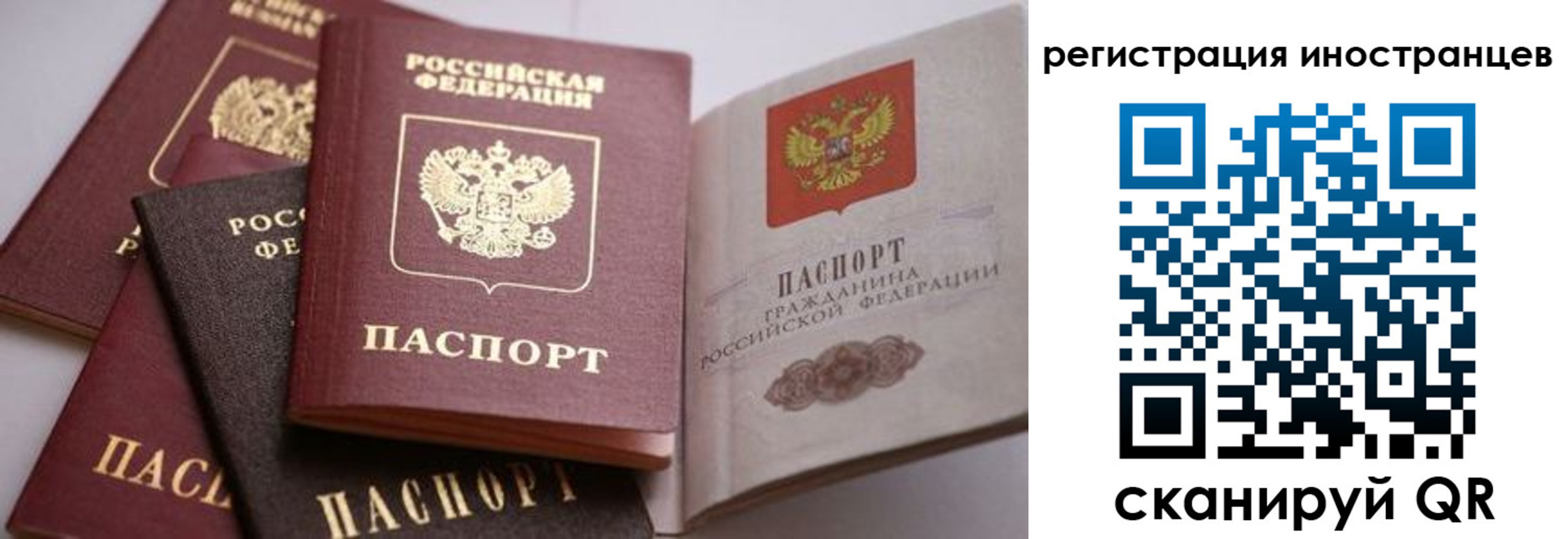 прописка штамп в Тайге